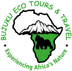 Bujuku Eco Tours & Travel